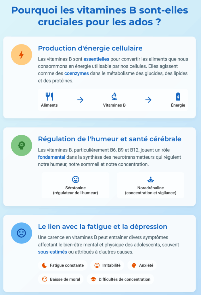 Pourquoi les vitamines B sont-elles cruciales pour les ados